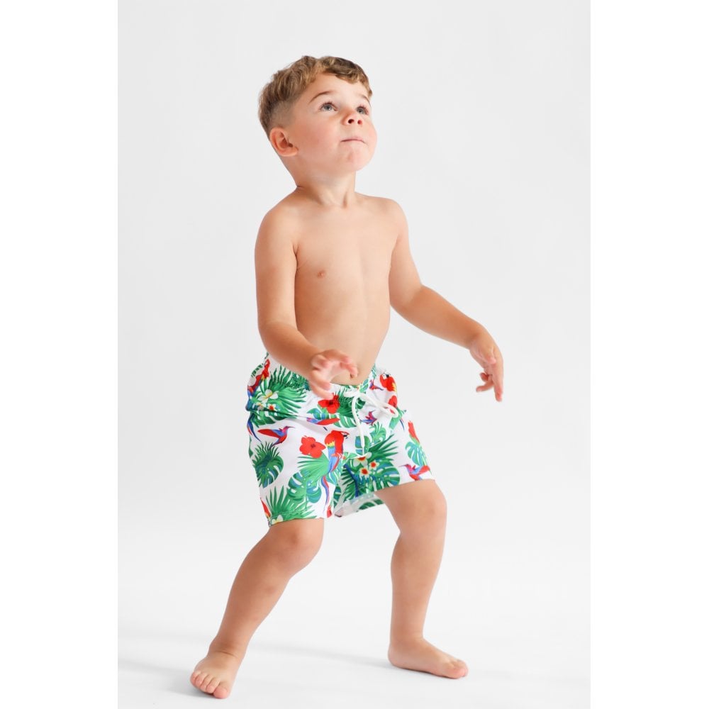 Maui Parrot Swimming Trunks Red