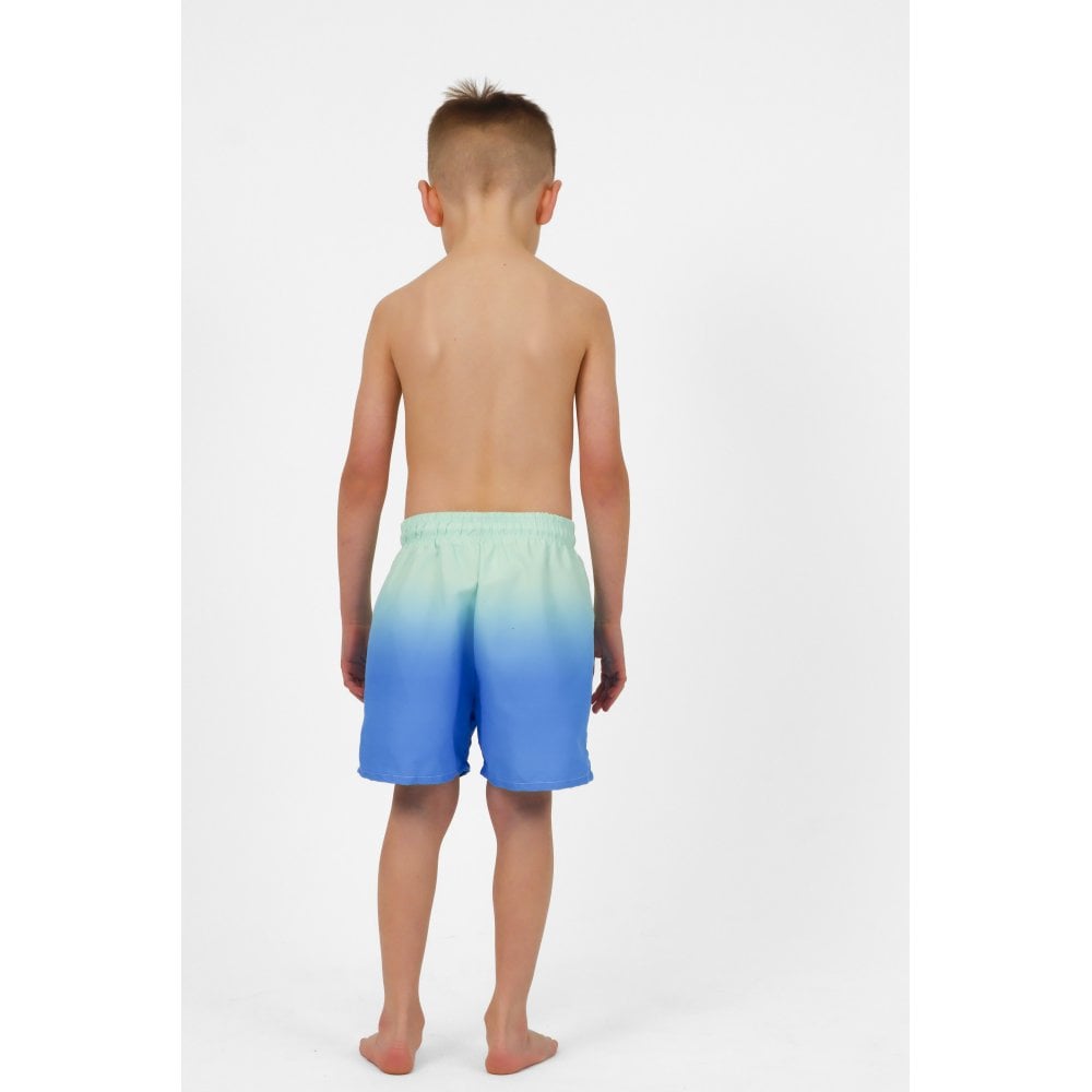 Asher Boys Blue Ombre Swim Shorts