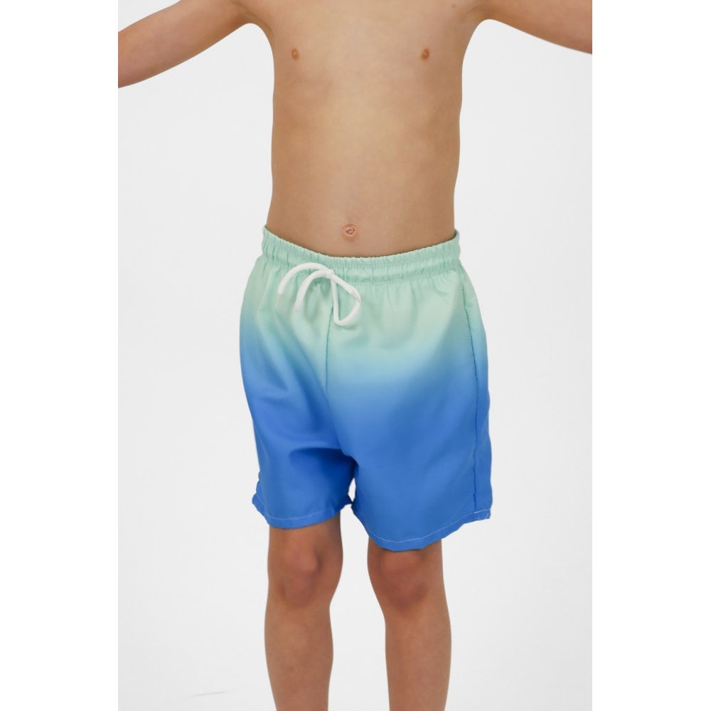 Asher Boys Blue Ombre Swim Shorts