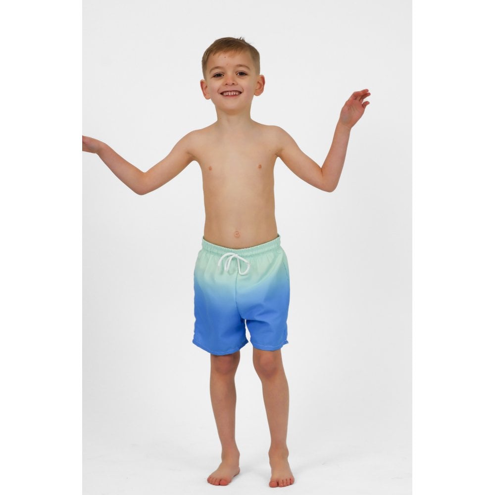 Asher Boys Blue Ombre Swim Shorts